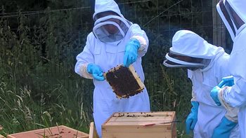 13902712_10208737450585877_2876908990254244159_n