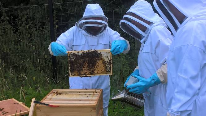 13958184_10208737449865859_4367963483885103284_o